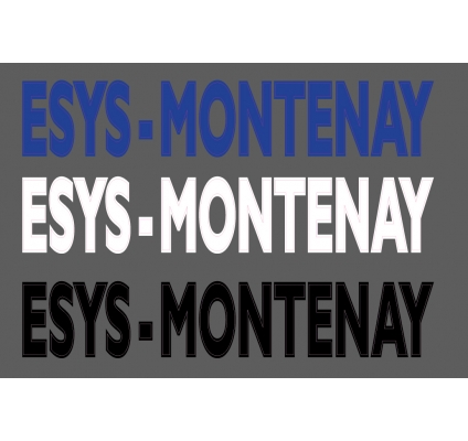 Esys Montenay texte