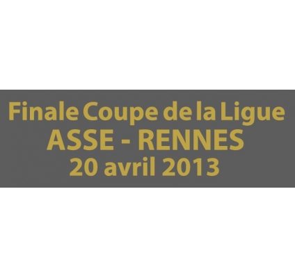 Final Coupe de la Ligue 2013