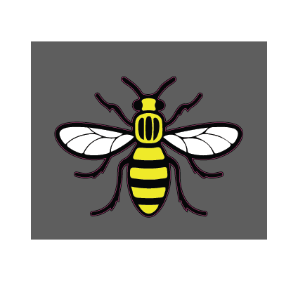 Bee manchester City