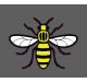 Bee manchester City