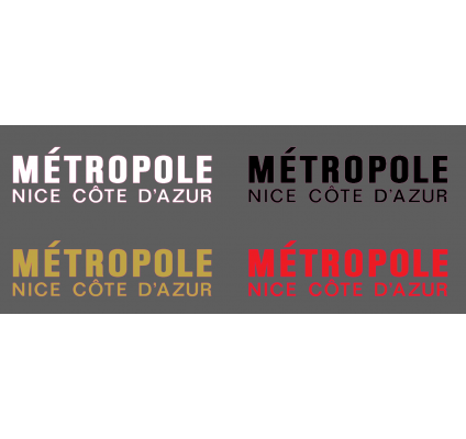 Metropole Nice cote d'azur