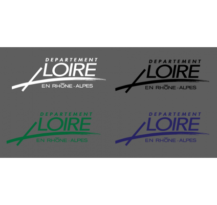 Departement Loire Rhone Alpes - 
