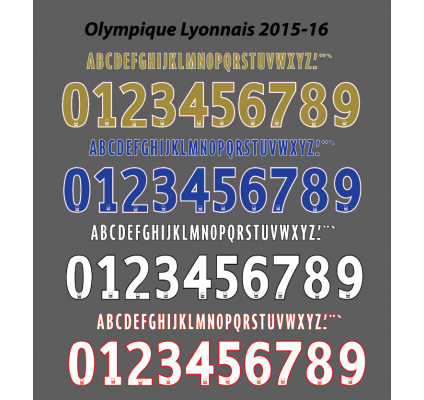 Lyon 2015-16 L1