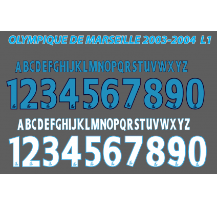 Olympique de Marseille 2003-04