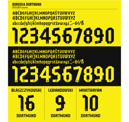 Dortmund Flock -2013-14