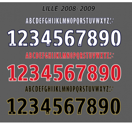 Lille 2008-09