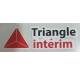 Triangle Interim 