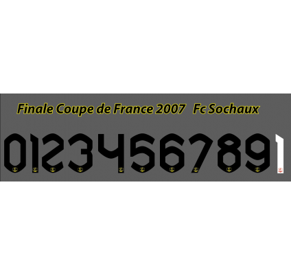 Final French Cup 2007 Fc Sochaux