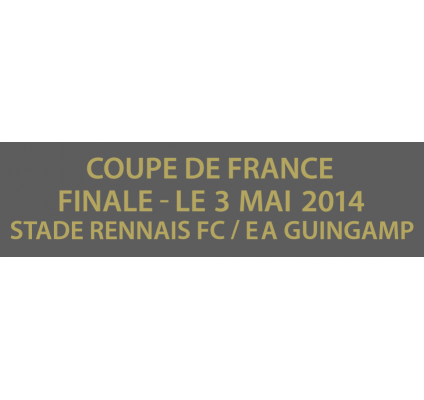 Finale coupe de france 2014