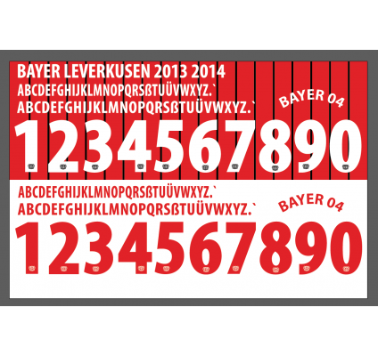 Bayer Leverkusen 2013-14