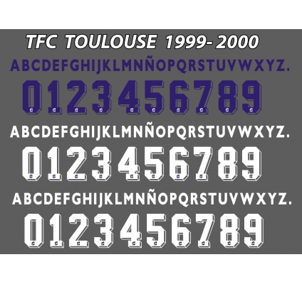 Toulouse 1999 - 2000