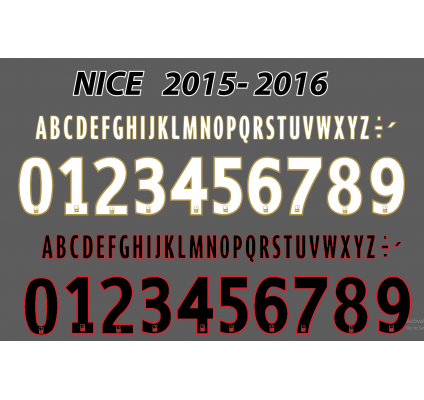 Ogc Nice 2015-16