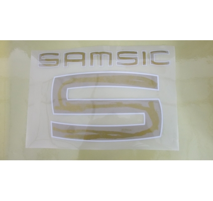 Sponsor Samsic