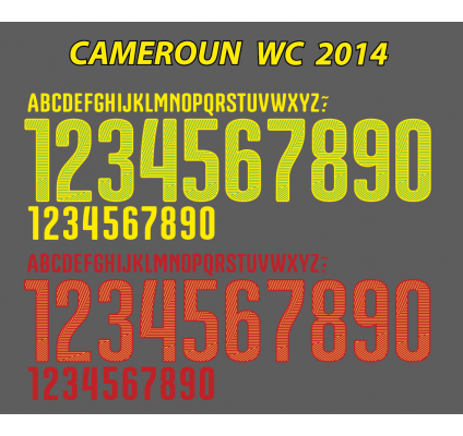Cameroun 2014