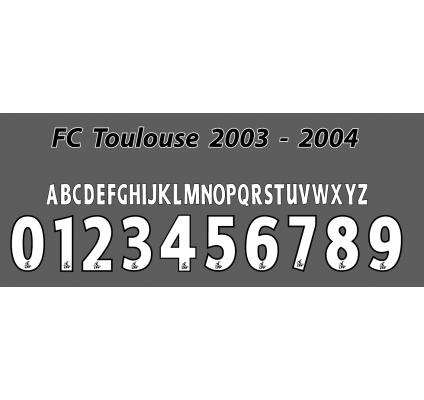 Toulouse 2003-04