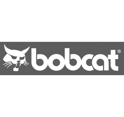 Bobcat