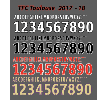 Toulouse 2017-18