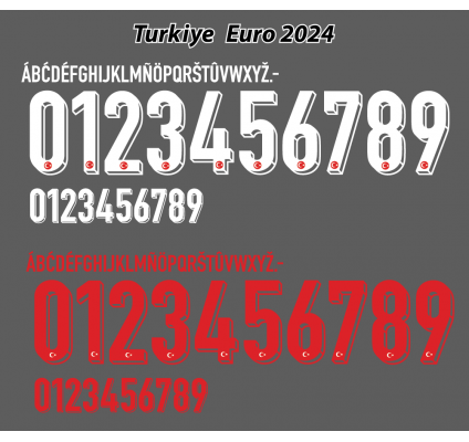 Turkiye Euro 2024 