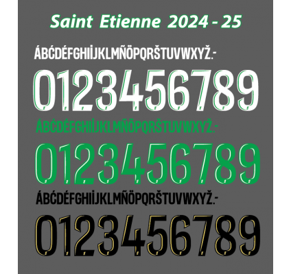 Saint Etienne 2024-25