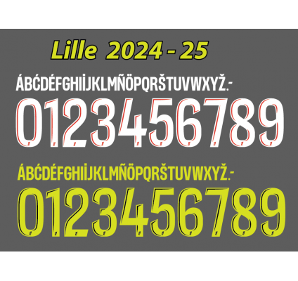 Lille 2024-25