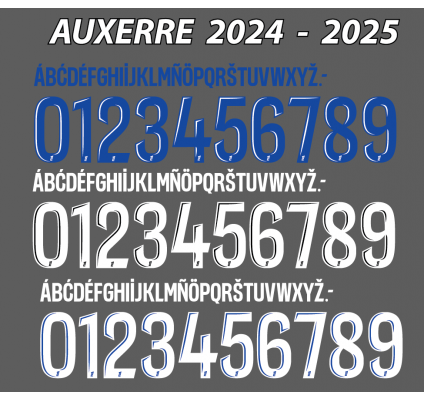 Auxerre 2024-25