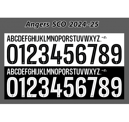 Angers SCO 2024-25