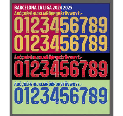 Barcelona Liga 2024-25