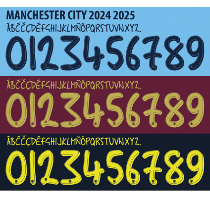 Man City Ldc 2024-25