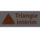 Triangle Interim