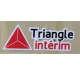 Triangle Interim 