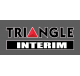 Triangle Interim