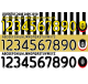 Juventus 2008-10