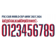 Psg Club worl cup 2025