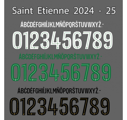 Saint Etienne 2024-25
