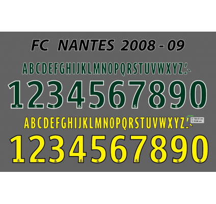 Nantes 2008-09 