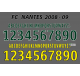 Nantes 2008-09 