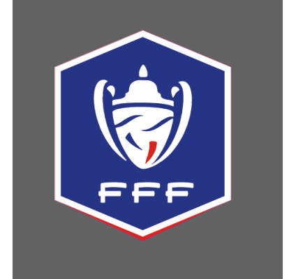 Coupe de France 2019-21