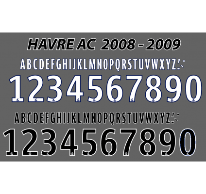 Havre AC 2008-09