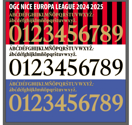 Nice LDC 2024-25 
