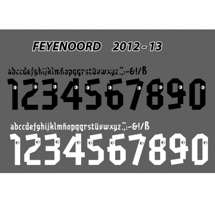 Feyenoord 2012-13