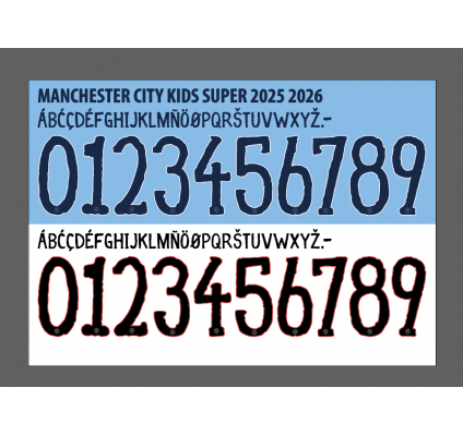 Manchester city 2025-26