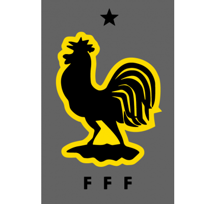Coq France Gardien Maillot Jaune 2018