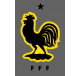 Coq France Gardien Maillot Jaune 2018