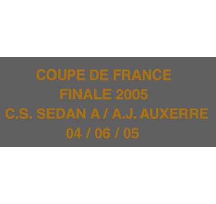 Finale Coupe de France 2005