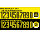 Dortmund 2014-15