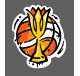 Basket Feminines 2026