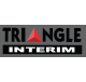 Triangle Interim 